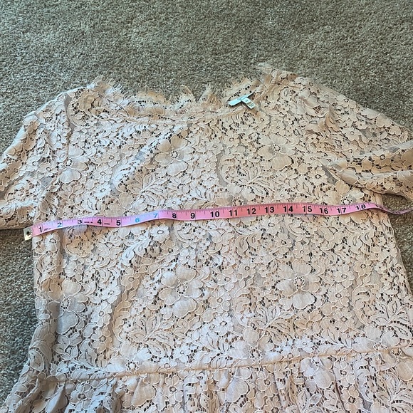 {Joie} Beautiful Blush lace blouse top - Picture 8 of 9